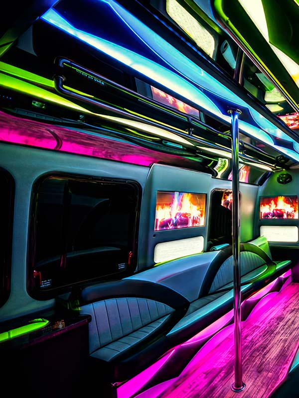 limo interior